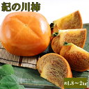 【ふるさと納税】 【希少】紀の川柿約1.8～2kg（種無し）秀選品 ※2024年10月中旬～2024年11月中旬頃に順次発送予定（お届け日指定不可）