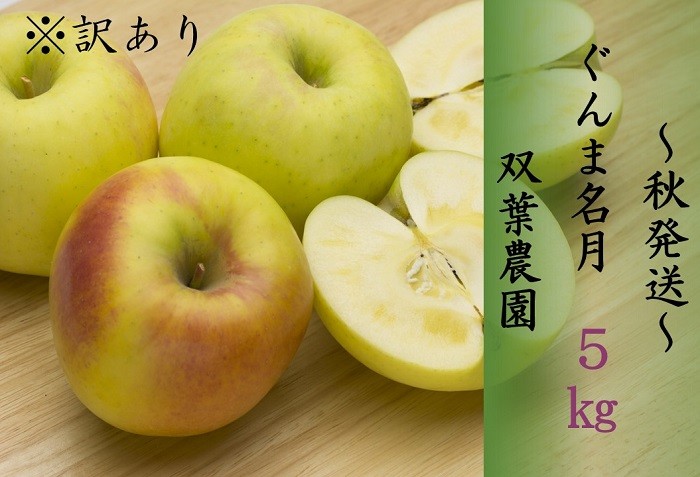 
                  274 ※訳あり りんご ぐんま名月 ５㎏ 【双葉農園】
                