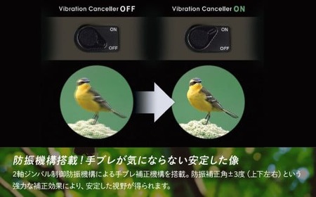 【ふるなび限定】防振双眼鏡 ビクセン ATERAII H10x21 グレージュ | 双眼鏡 アテラ vixen FN-Limited