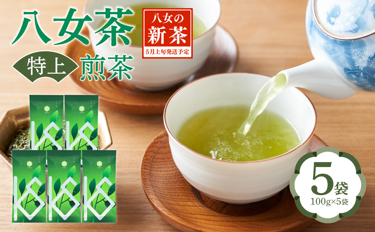 
                  【2026年新茶】八女茶 特上煎茶 100g×5袋 茶 お茶 日本茶 緑茶 八女茶 新茶 福岡県 八女市
                