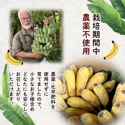 ふるさと納税 西原町 西原町の栽培期間中農薬不使用のナムワバナナ3kg |  | 03