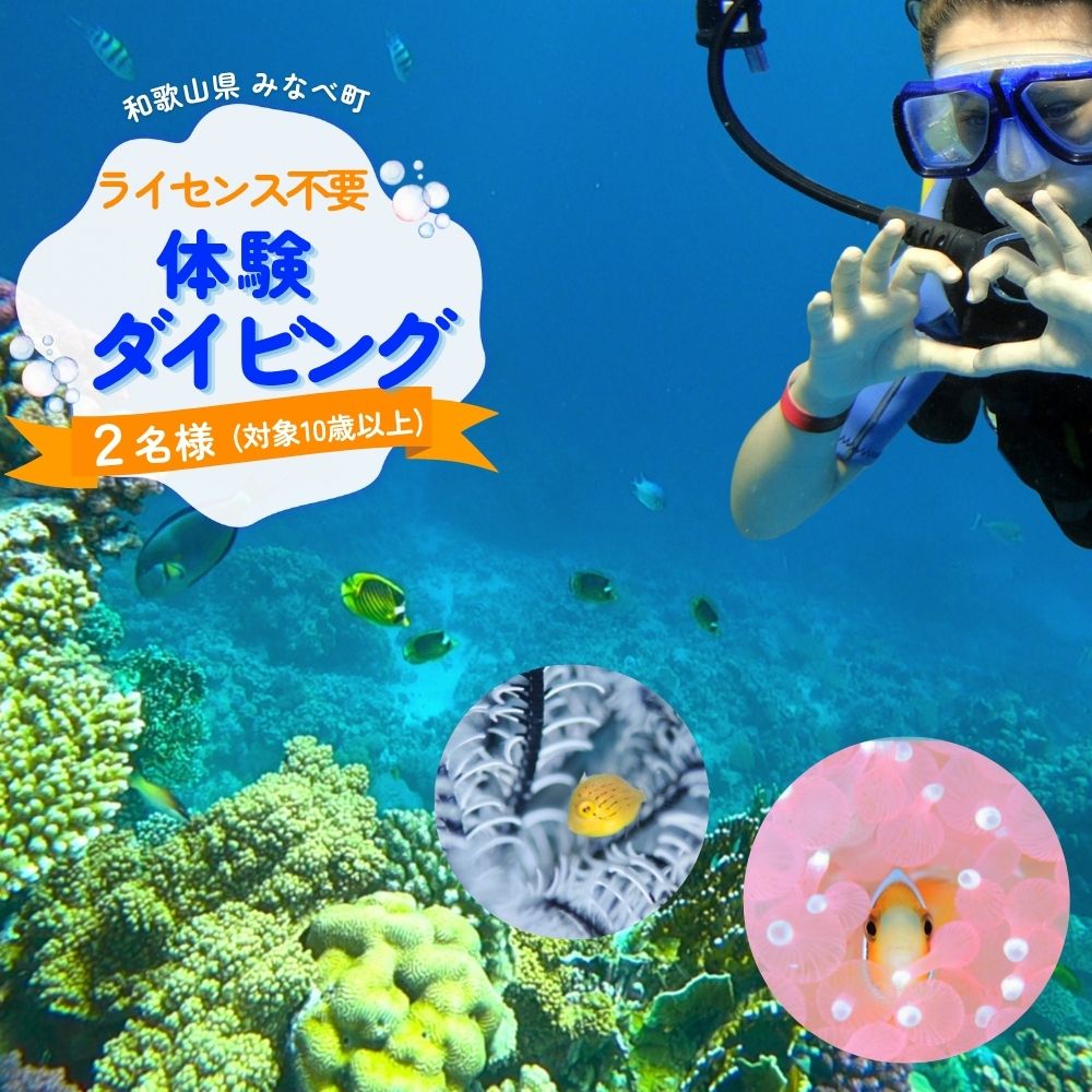 【ふるさと納税】 ライセンス不要！感動の水中世界へ！サンマリン 体験ダイビング（2名様） | みなべ町 ダイビング 体験 アクティビティ