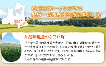 【ふるなび限定】新米 定期便 青森県産米 はれわたり 10kg 3回定期便 特Aブランド米 FN-Limited-PR