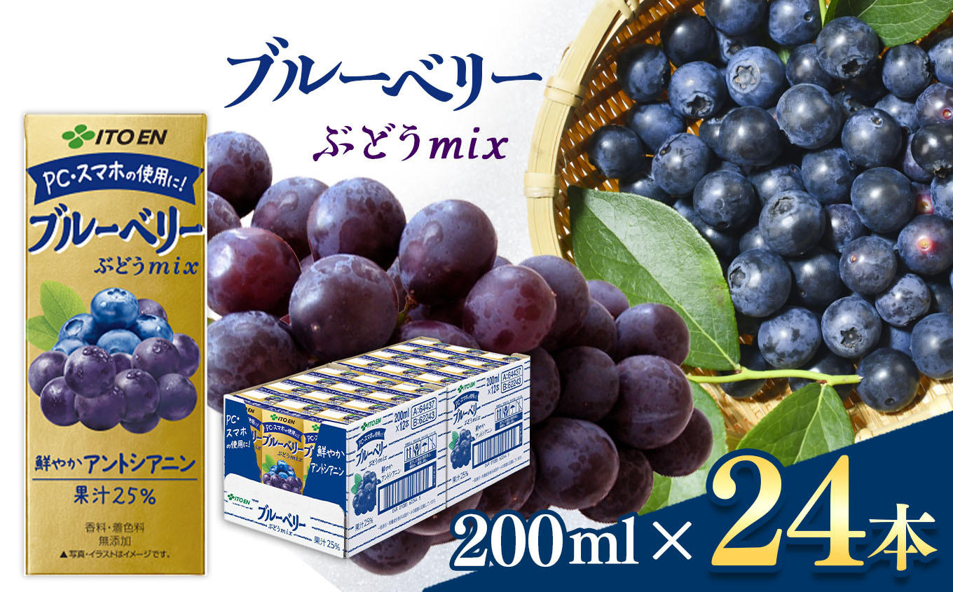 
【定期便3回】紙ブルーベリーミックス200ml　24本入り 伊藤園 | ブルーベリー フルーツ ジュース ドリンク 飲料 健康 食品 長期常温可能 1ケース 長野県 松本市 ふるさと納税
