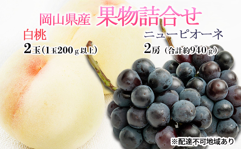 桃 ぶどう 2026年 先行予約 果物詰合せ 白桃 2玉（1玉200g以上） ニュー ピオーネ 2房（合計約940g）化粧箱入り 岡山県産 国産 フルーツ ギフト  もも セット 