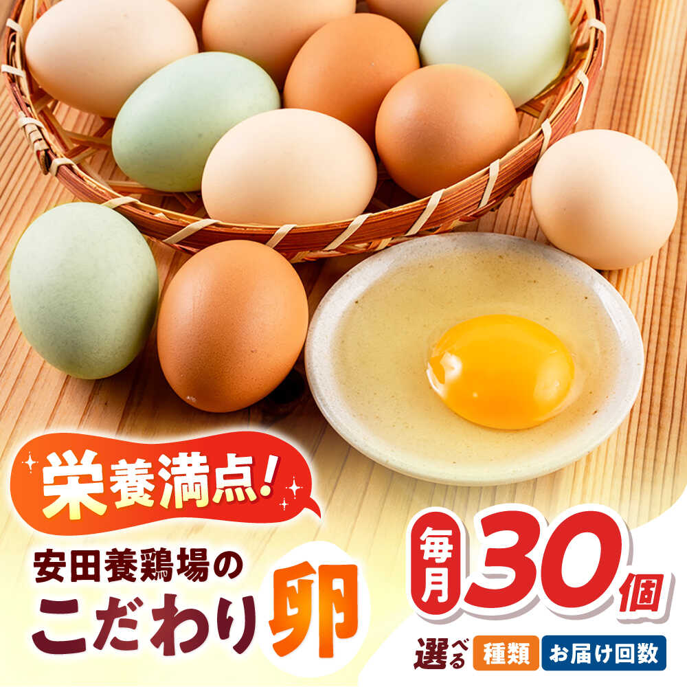 【ふるさと納税】【選べる種類とお届け回数！】安田養鶏場の卵 30個（しおさい・アトムくん・タフラン・3種セット） 横須賀市 産地直送 割れ保証付き たまご 黄身 濃厚 卵 玉子 タマゴ 鶏卵 【安田養鶏場】[AKHN008]