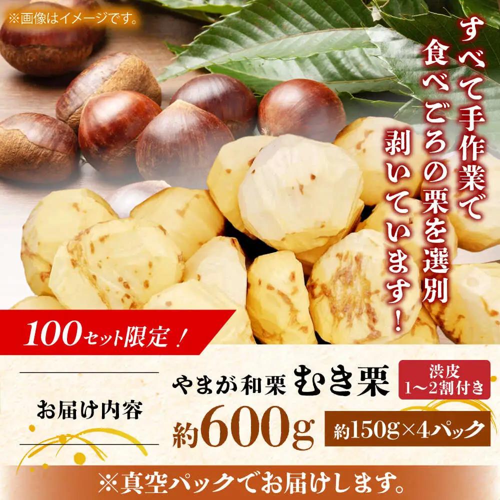 先行予約やまが和栗大粒むき栗渋皮付 約600g(約150g×4pc)ZES002