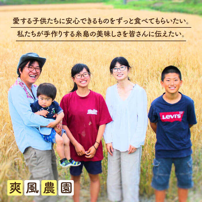 【数量限定！】にんにく500g 大きい！美味しい！糸島市からお届けする自慢のにんにくです【爽風農園】にんにく/ガーリック 【いとしまごころ】[AHZ001]