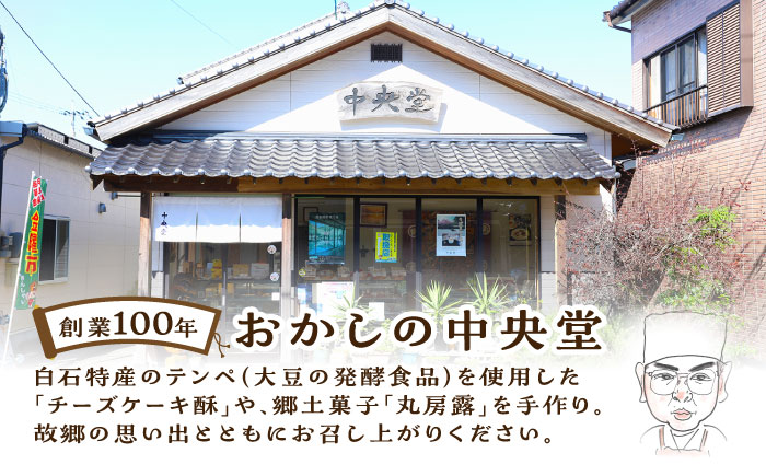 しろいしてんぺ入り！ チーズケーキ 酥 【おかしの中央堂】 [IDA001]