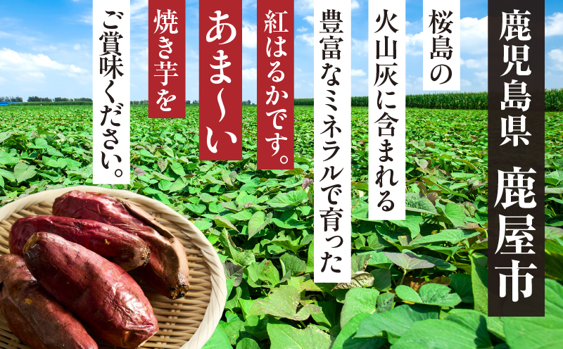 紅はるか 冷凍焼き芋2kg　KN046-011-02