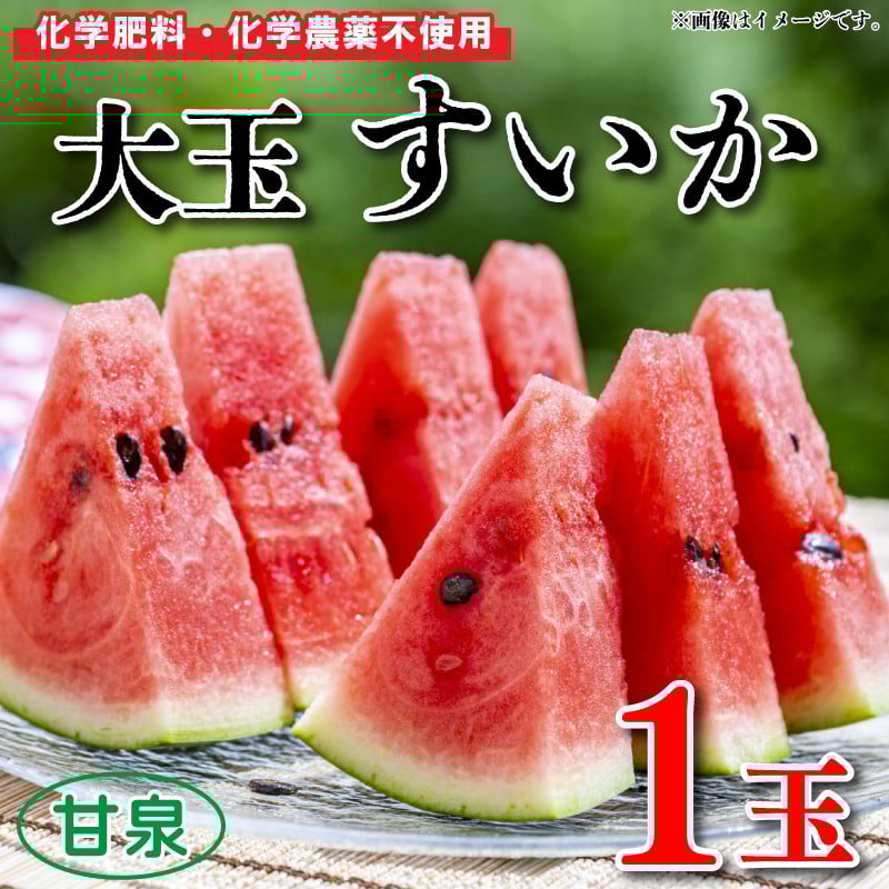 
            【 先行予約 】 すいか 大玉 1玉 約 5～7kg 果物 くだもの フルーツ 西瓜 化学肥料不使用 化学農薬不使用 産地直送 甘い 夏 甘泉 化粧箱入り 贈答 プレゼント ギフト 阿波市 徳島県 楠農園
          