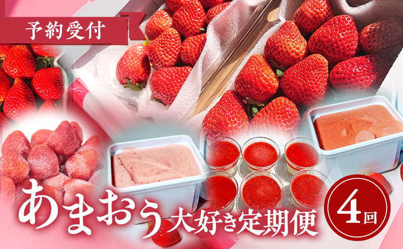 【2026年2月上旬より発送開始】【予約受付・4回定期便】あまおう大好き定期便 ※配送不可:北海道・沖縄県・離島