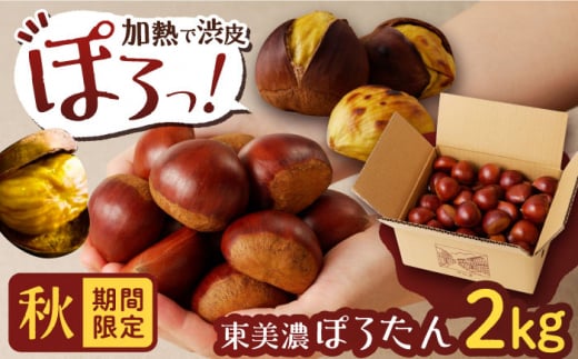 ＜10月下旬発送開始＞岐阜県産栗「東美濃ぽろたん」 2kg / 栗 くり 栗きんとん 栗 くり 栗きんとん 和菓子 スイーツ デザート お取り寄せ 送料無料 贈答 ギフト プレゼント/恵那市/ 東美濃農業協同組合 [AUDS001]