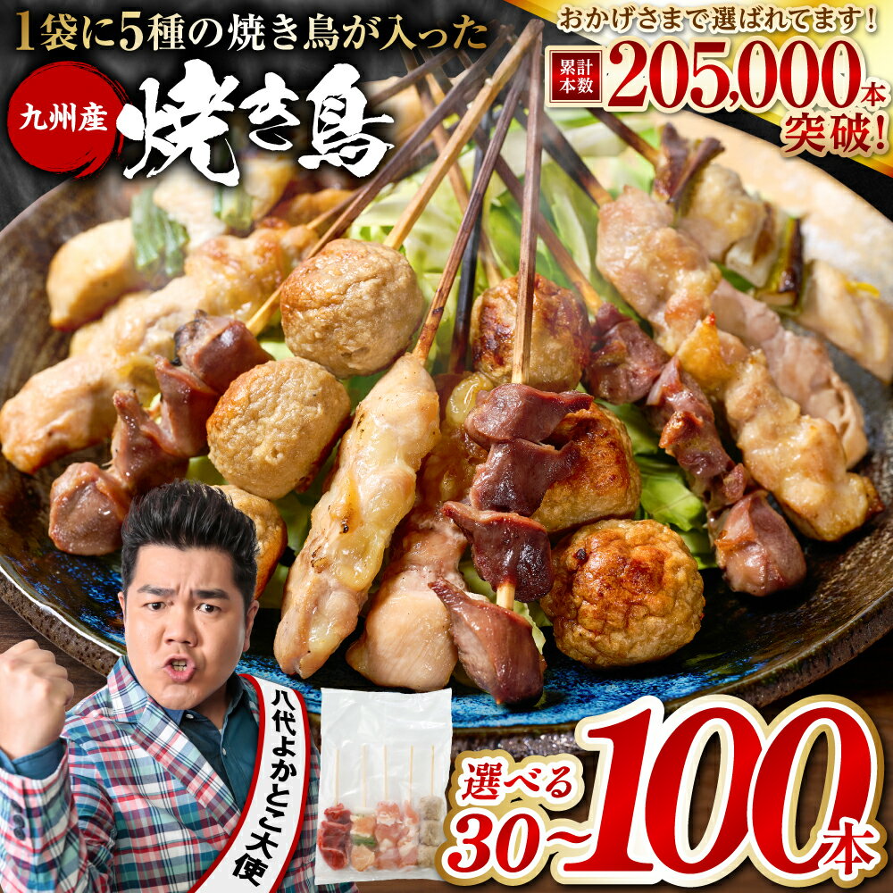 【ふるさと納税】 やきとり5種 30本～100本 ＼楽天限定企画あり／ 【選べる容量・配送回数】 焼き鳥 やきとり 焼鳥 国産 鳥肉 鶏肉 国産鶏 やきとり串 焼き鳥串 焼鳥串 焼き鳥丼 やきとり丼 焼鳥丼 九州産 冷凍