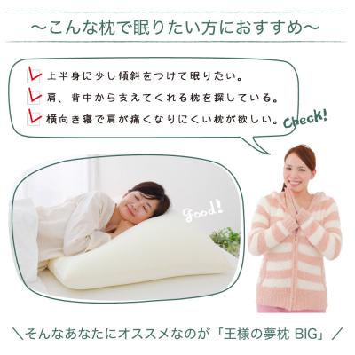 ふるさと納税 八峰町 王様の夢枕 BIG|16_mkr-390101 |  | 01