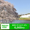 【ふるさと納税】千葉県八千代市の対象施設で使える楽天トラベルクーポン 寄付額20,000円