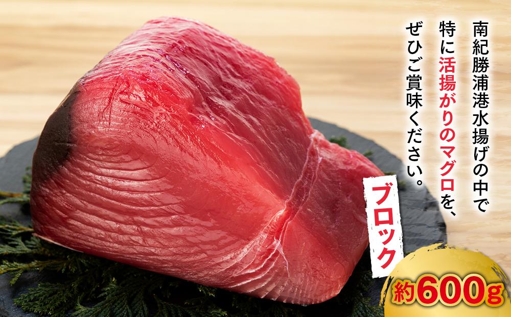 生まぐろの本場紀州勝浦から直送! 生メバチマグロ 約600g