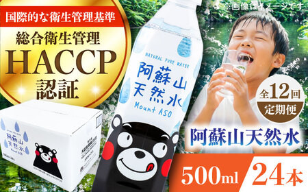 【全12回定期便】阿蘇山 天然水 500ml 24本×1ケース BHDG010 天然水