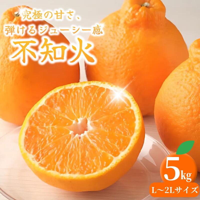 【ふるさと納税】 紀州田辺の 不知火 5kg 3L～2Lサイズ（2026年3月頃から順次発送予定） / デコポン みかん でこぽん 柑橘 和歌山 みかんランキング 果物 くだもの フルーツ 柑橘 産地直送 国産 和歌山