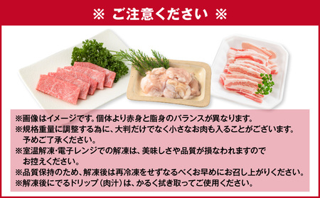 【 期間限定 生活応援 】【 A5和牛 ・ 豚 ・ ホルモン 】焼肉セット900g K002-055 豚肉 豚バラ 牛肉 黒毛和牛