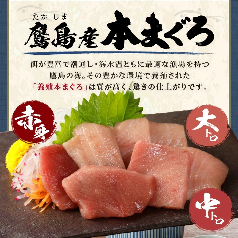鷹島本まぐろ 食べきりサイズ(80g×2p)とレンジで簡単！ 鷹島のアジフライセット(4枚×1p) ( 本まぐろ マグロ 鷹島産本まぐろ アジフライ あじ フィレタイプ ) 【B0-262】