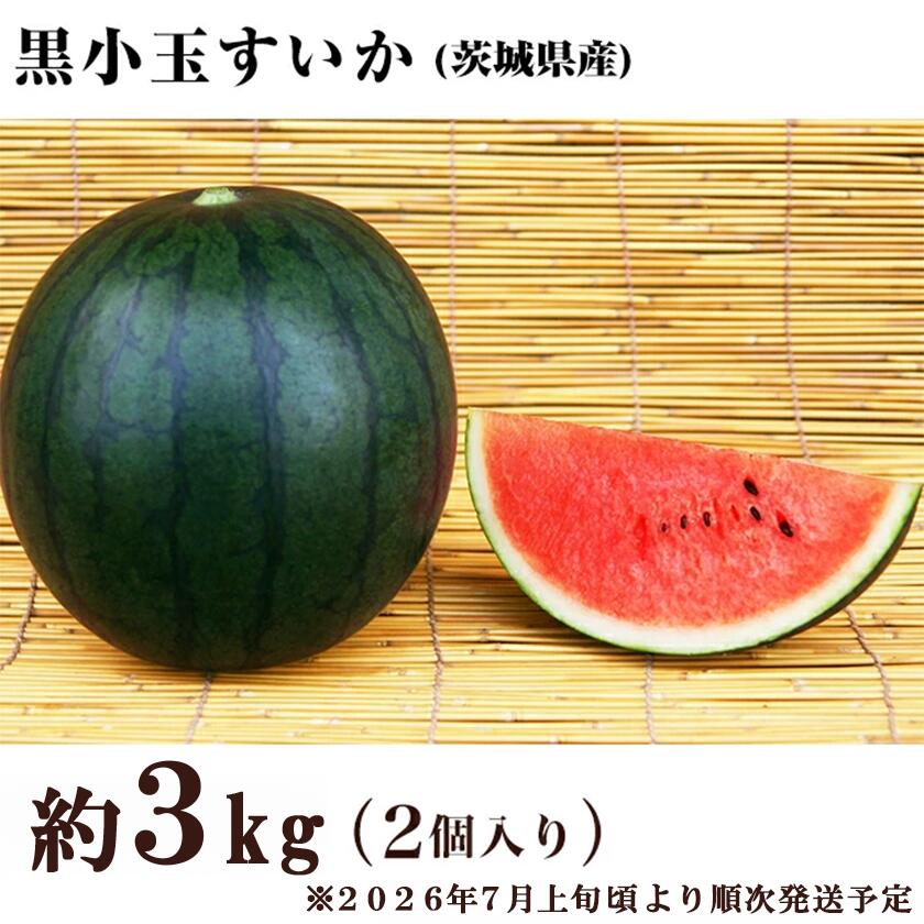 【ふるさと納税】茨城県産黒小玉すいか約3kg（2個）先行予約【2026年7月上旬～7月下旬ごろ発送予定】小玉すいか スイカ フルーツ 果物 くだもの 西瓜