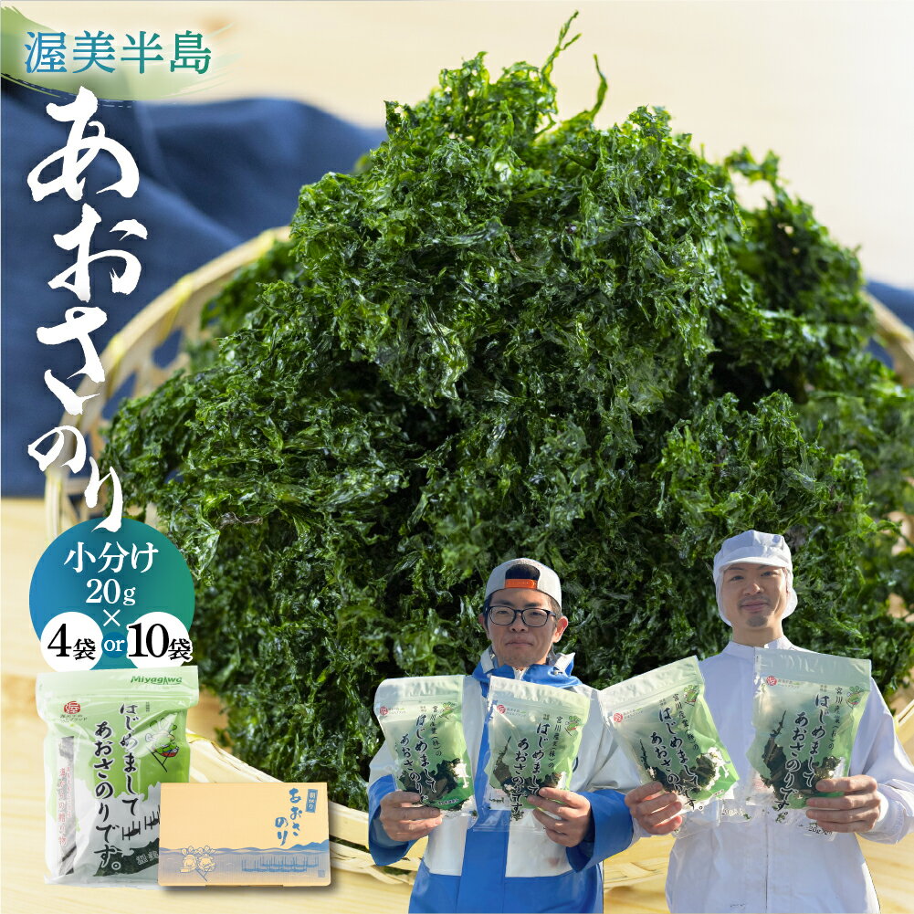 【ふるさと納税】高評価★4.83 あおさ 80g / 200g (小分け 20g×4袋/ 10袋) チャック袋 三河湾産 「はじめまして あおさのり です。」あおさ海苔 海苔 味噌汁 海藻類 アオサ 送料無料 国産 食品 田原市 人気 5000円 12000円 愛知県 人気