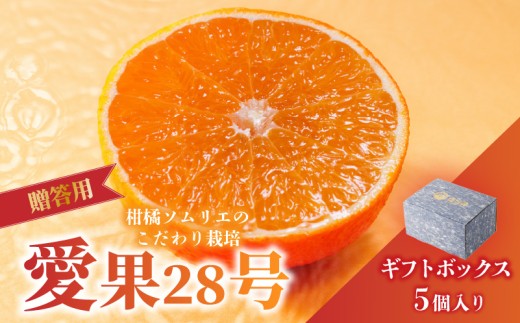 愛果28号 (紅まどんな と同品種) ギフトボックス Lから2Lサイズ 5玉 贈答用 A品 秀品 【2026年11月下旬より順次発送】 | あいか 紅まどんな 紅マドンナ と 同品種  愛媛みかん  みかん ミカン mikan   お取り寄せ 産地直送 数量限定 人気 おすすめ 愛媛三大柑橘（ 紅まどんな せとか 甘平 ） 愛媛県 松山市  蓮果園