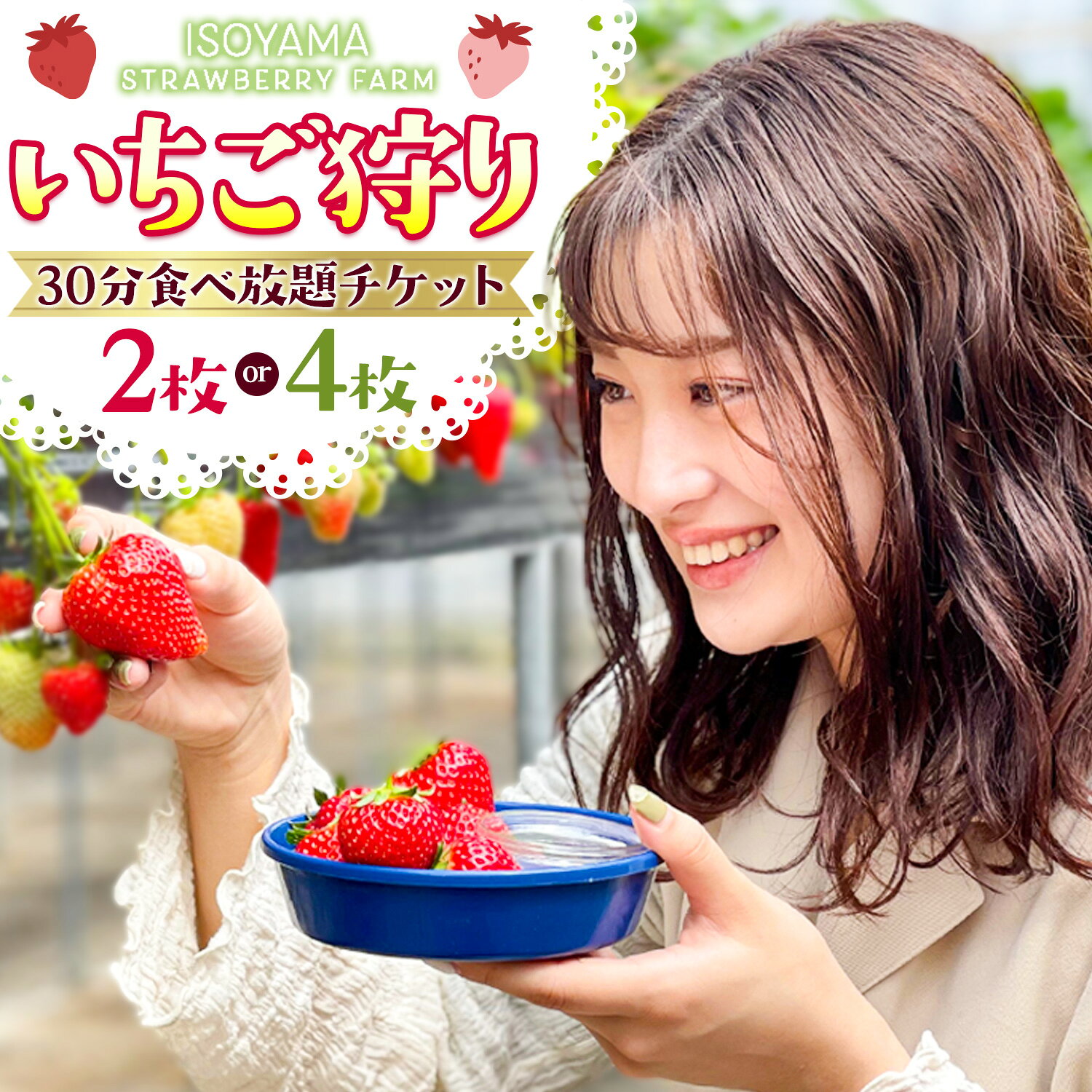 【ふるさと納税】体験 いちご狩り 30分 食べ放題 チケット 2枚 4枚 有限会社磯山観光いちご園《60日以内に出荷予定(土日祝除く)》千葉県 東庄町 いちご 苺 イチゴ 体験チケット いちご狩り 果物狩り