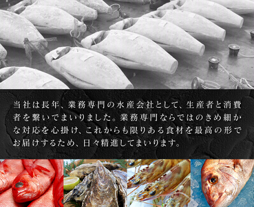 a50-129　キボシ水産 天然 鮪 南鮪 大トロ 中トロ 赤身食べ比べ 約1.5kg