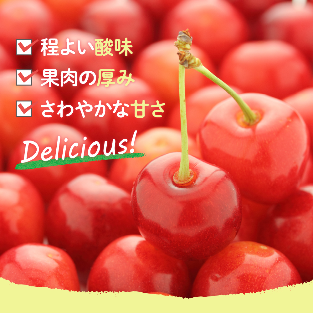 【先行予約】 令和8年産 さくらんぼ 佐藤錦 1kg ( 手詰め ) 2026年6月上旬～下旬頃お届け予定