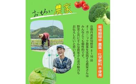 【4回定期便】＜３６９商店＞京都丹波産旬の野菜セットデラックス！平飼い卵10個、季節の果物又は加工品　※栽培期間中農薬・化学肥料不使用※ 野菜 定期便 4回 卵 ※北海道・沖縄・離島への配送不可