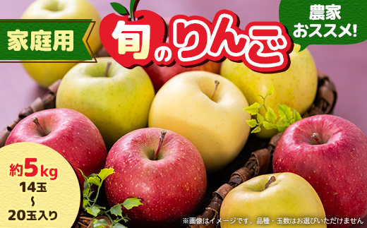 家庭用【2025年8月～9月発送】農家おススメ!旬のりんご約5kg(14玉～20玉入り)(冷蔵)【配送不可地域：離島】