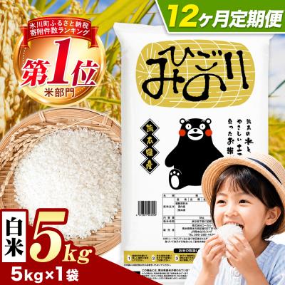 ふるさと納税 氷川町 【12ヶ月定期便】ひごみのり 白米 熊本県産 ブレンド米 5kg《お申込み翌月から出荷》