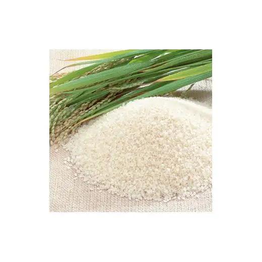 令和7年産 にいみ源流米「コシヒカリ」5kg（5kg×1袋）