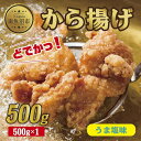 【ふるさと納税】どでか味付けから揚げ うま塩味 500g 唐揚げ からあげ から揚げ しお 塩 揚げ物 冷凍 惣菜 簡単 調理 肉 おかず 味付き 野崎フーズ 新潟県 南魚沼市