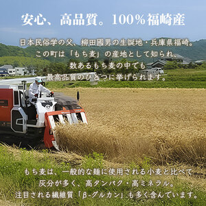 もちむぎカステラ2本セット カステラ 贈り物 ギフト もち麦
