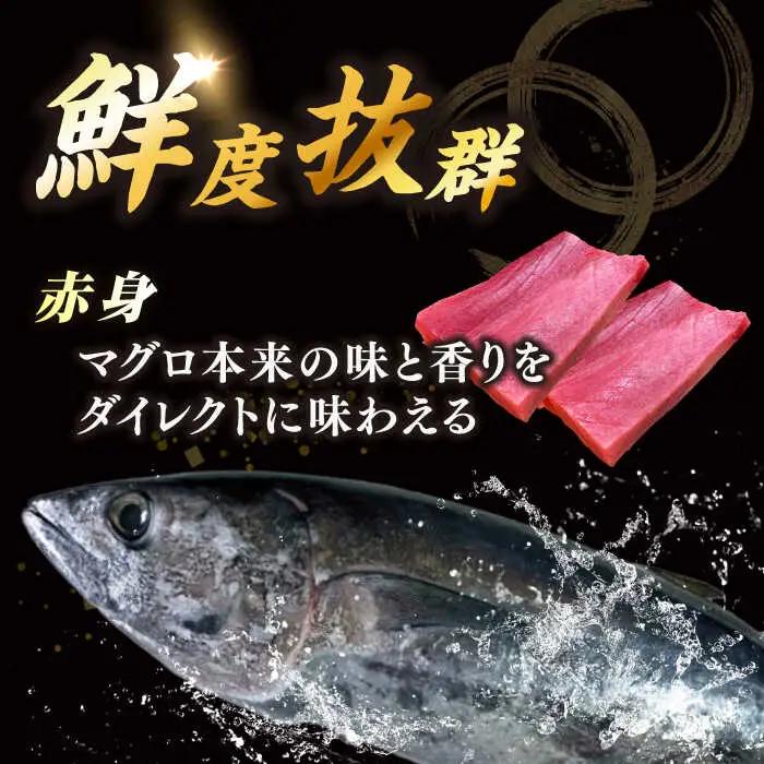 冷蔵！生本マグロ 赤身 計約600g マグロ まぐろ 鮪 刺身 五島列島産養殖 [RBN015] 本マグロ 本まぐろ 本マグロ 本まぐろ 本マグロ 本まぐろ 本マグロ 本まぐろ九州 長崎