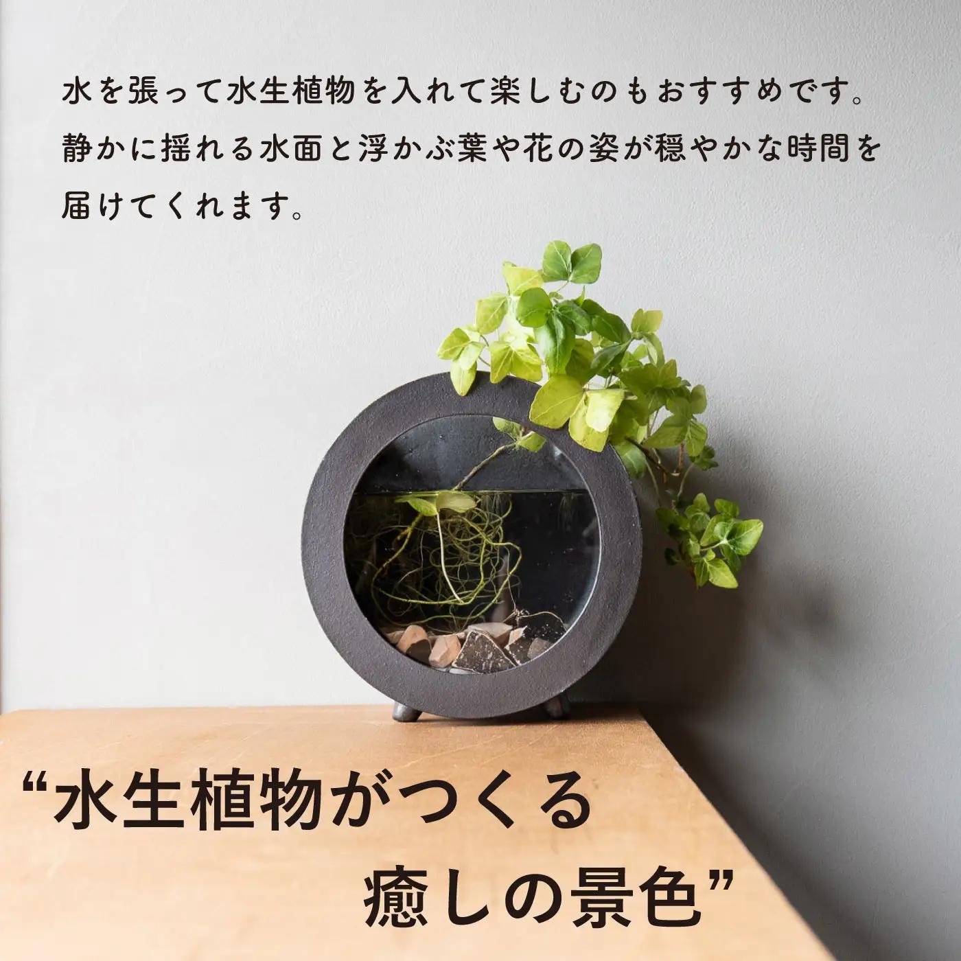 【信楽焼・明山】丸水槽・小（黒）　aqua-03s (176777-40037145)
