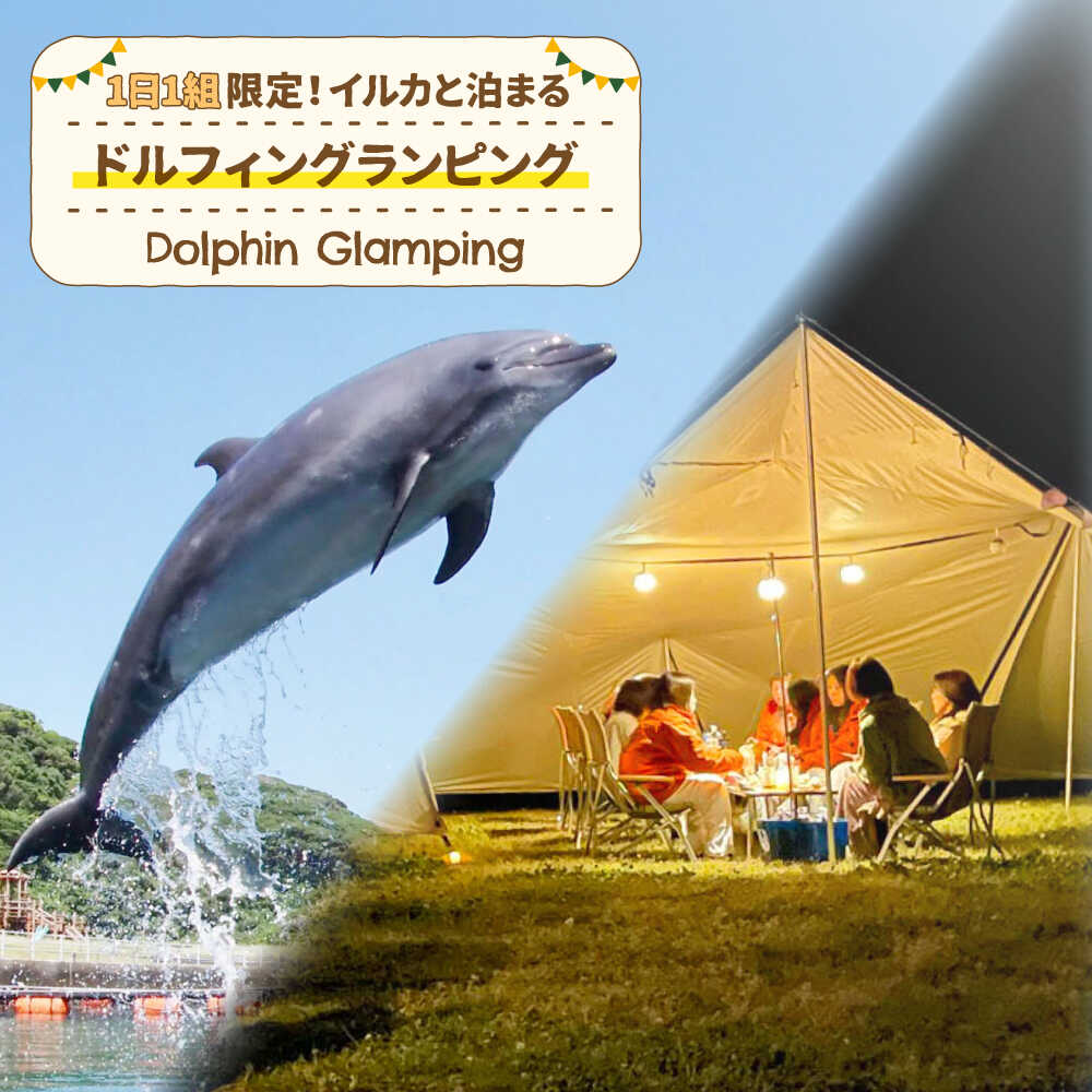 【ふるさと納税】イルカに癒される極上の体験。1日1組限定！イルカと泊まるドルフィングランピング《壱岐市》【壱岐イルカパーク＆リゾート】[JBF041] いるか イルカ グランピング キャンプ 宿泊 旅行 BBQ 体験 アクティビティ70万 700000 700000円 70万円