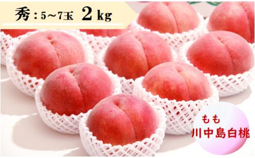 08-08-005　もも(川中島白桃)2kg