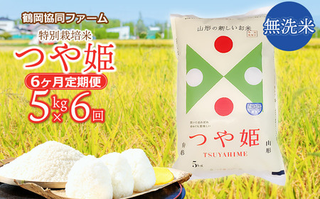 【令和7年産先行予約】特別栽培米つや姫 無洗米 5kg (5kg×1袋)×6ヶ月【定期便】　鶴岡協同ファーム 