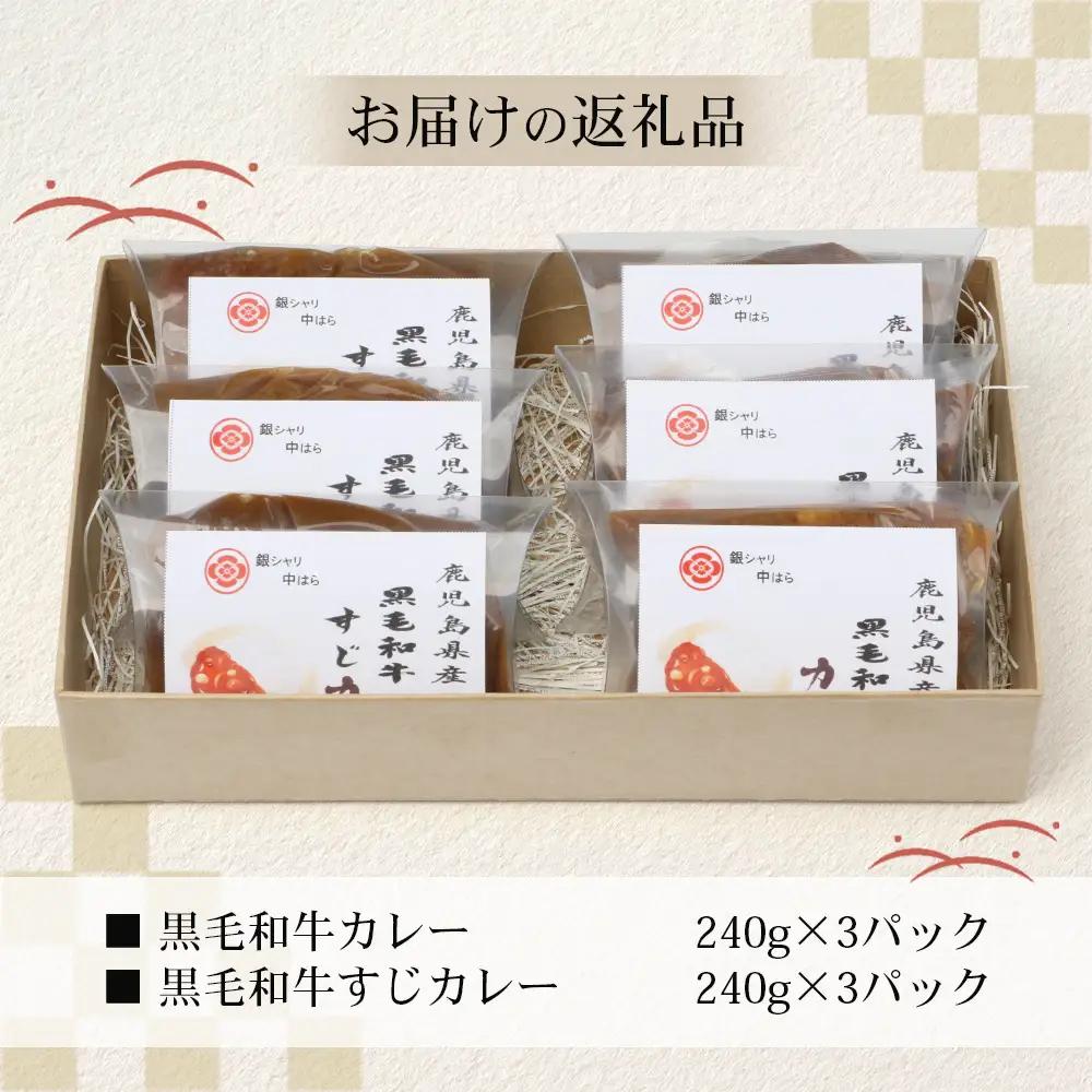 ［2種類］＼日本料理人の手作り／ 鹿児島県産 黒毛和牛レトルトパック 2種セット ≪合計6パック≫ カレー（240g×3パック）/すじカレー（240g×3パック） GN-7｜鹿児島県 南大隅町 あたた
