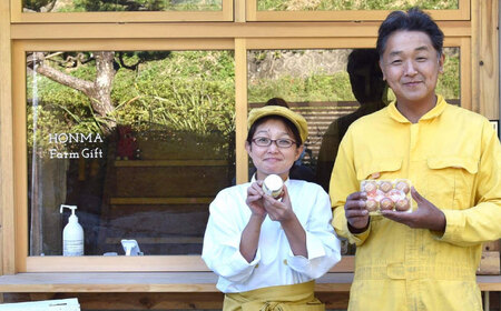 平飼いニワトリの有精卵！ほんまの朝食セットA（卵20個、ウィンナーソーセージ12本） / 佐賀県 / 本間農園 [41AJAA012]