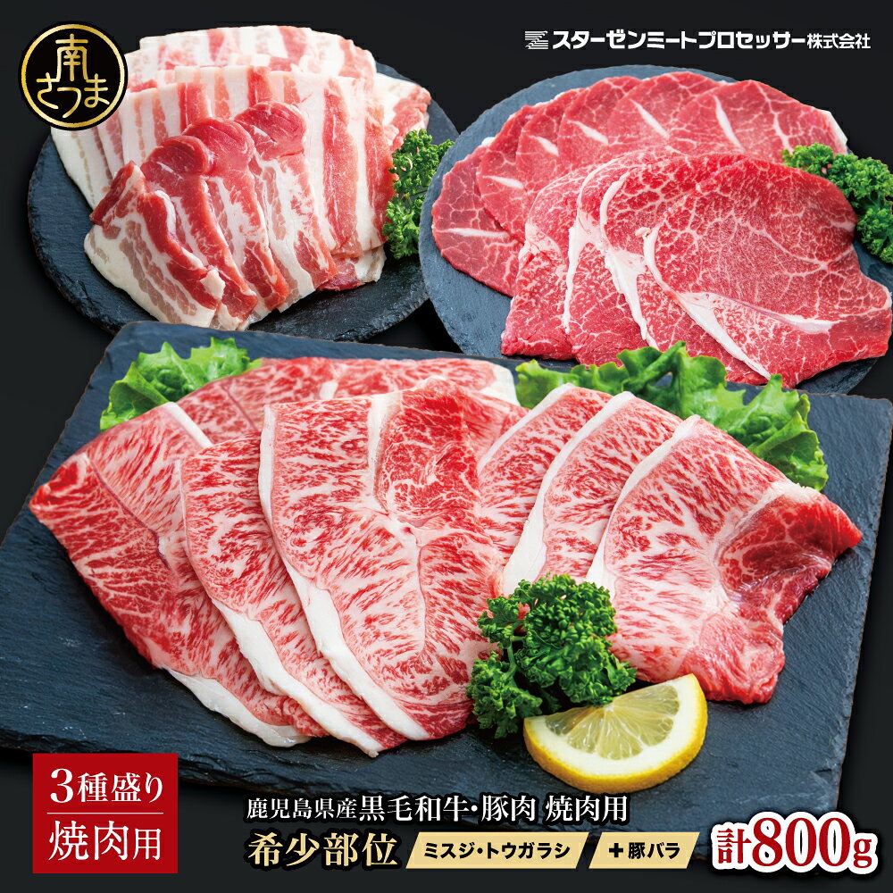 【ふるさと納税】3種盛り 焼肉用 計800g 黒毛和牛 希少部位 ミスジ・トウガラシ & 豚バラ ★指定日・お届け月が選べる★ 牛肉 豚肉 鹿児島県産 赤身 霜降り 盛り合わせ 焼き肉 セット 小分け 人気 おすすめ BBQ バーベキュー 鹿児島 お肉 食べ比べ 冷凍 スターゼン 送料無料