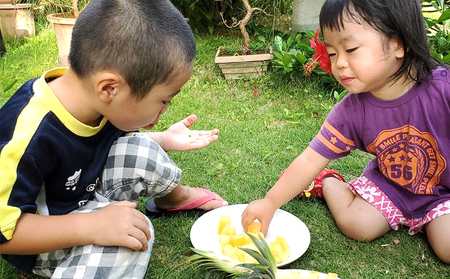 【2024年発送】比屋定農園「久米定パイン」ゴールドバレル 1玉