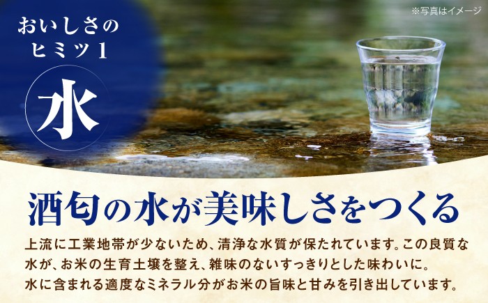 令和7年産 はるみ米 10kg 10kg×1袋 神奈川県 令和7年度産 米 おこめ お米 白米 こめ ライス rice kome
