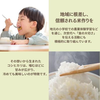 ふるさと納税 小松市 コシヒカリ 玄米 30kg 令和7年産 米 コメ お米 げんまい 石川県産 小松市産 嵐農産 |  | 02