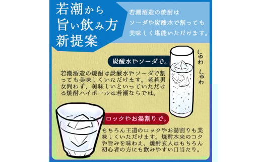 a5−０７３　志布志　25度・プレミアムブルー20度　計４本　「ザ・ファブル」に掲載！