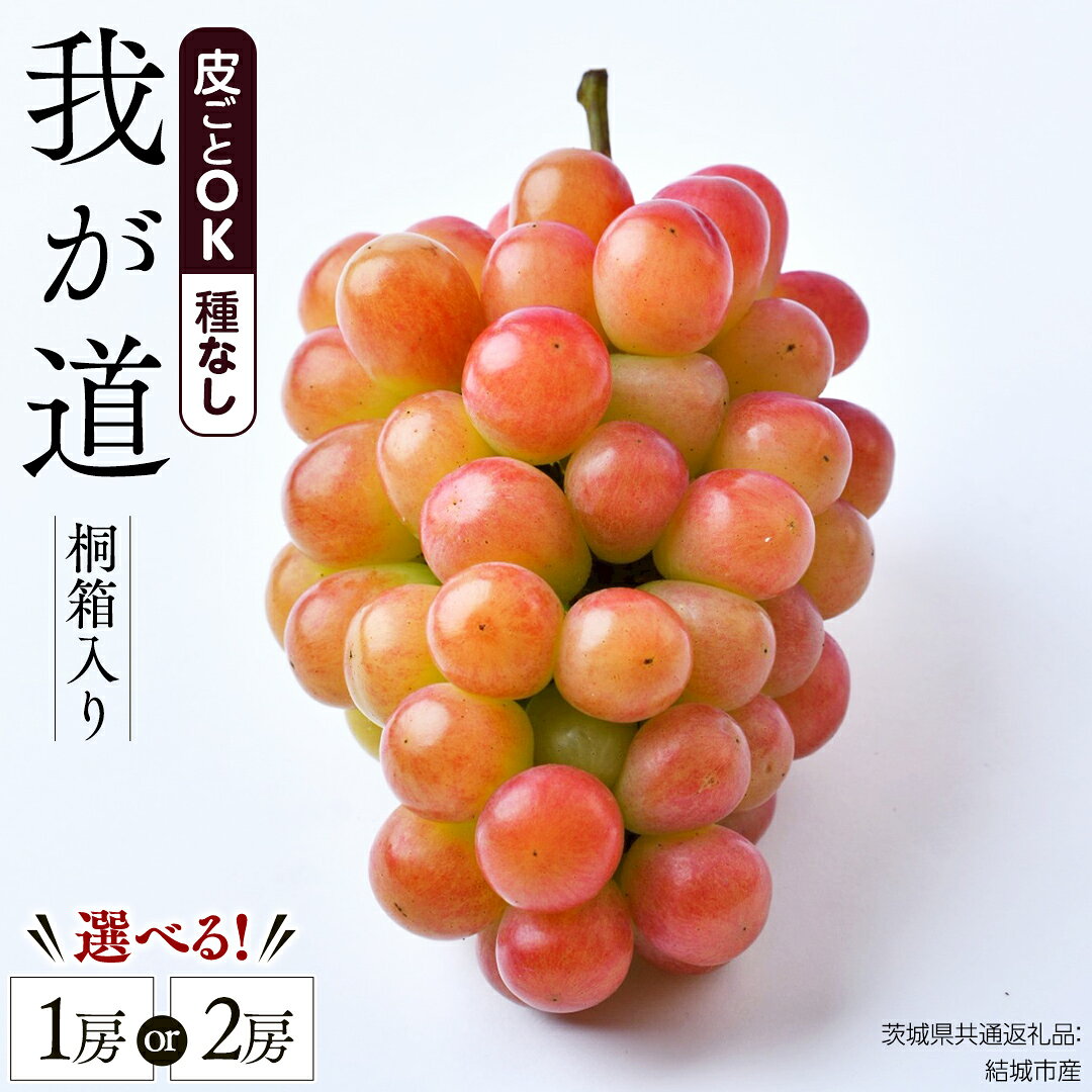 【ふるさと納税】＼ 選べる房数 ／ 【 桐箱入り 】我が道 （ ぶどう ） 1房 2房 【2026年9月から発送開始】（茨城県共通返礼品 [ぶどう]：結城市産） ぶどう 我が道 果物 フルーツ 季節 旬